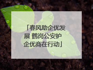 春风助企优发展 鹤岗公安护企优商在行动